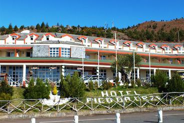 Отель Pico da Urze