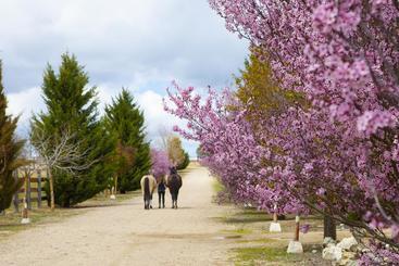 هتل روستایی Ibersol La Casona de Andrea