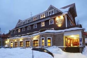 Spa Hotel Bily Horec