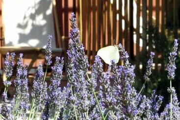 住宿加早餐  Les Pierres Sauvages