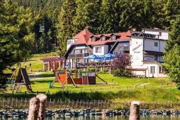 Alpenhotel Enzian