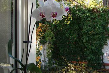 Boutique Hotel 16