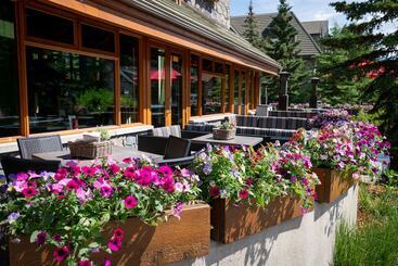 Fox Hotel And Suites