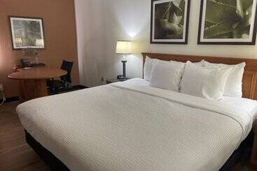 فندق La Quinta By Wyndham Tampa Brandon West