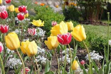 מלון דירות Linda Vista Apart