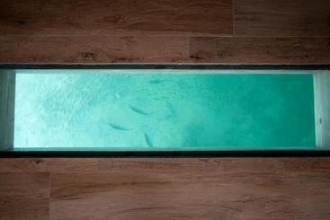 مبيت وإفطار Sol Bungalows Bocas Del Toro