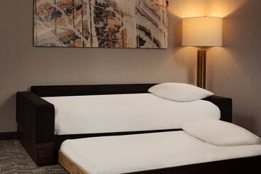 فندق Springhill Suites By Marriott Ames