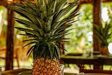 Mi Kasa Tu Kasa Bacalar By Nah Hotels