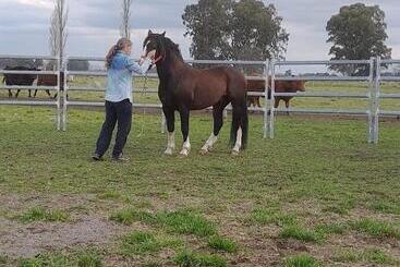 Hostel Chacras De Azcona Hostería