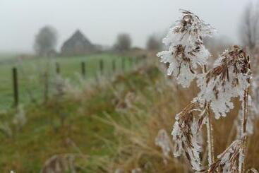 住宿加早餐 Bed In Waterland