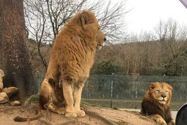 ホテル Yadomaru Mine Non Smoking