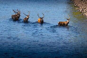 Loch Rannoch Hotel And Estate