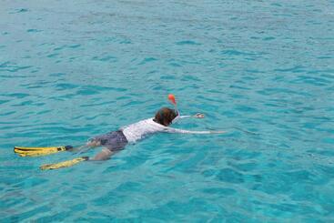 Пансион Homeland Swahili Lodge Nungwi Backpacker Apartments Budget