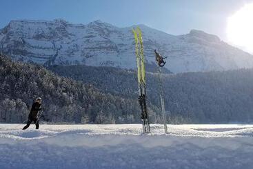 فندق Holiday Inn Express Lustenau