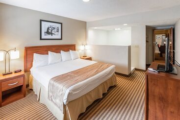 Eleven Boutique Hotel Llc