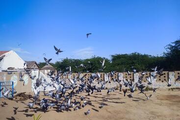 فندق White Land Village Stay