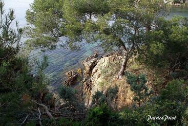 Bed and Breakfast La Maison Du Port