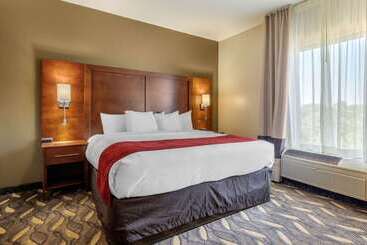 酒店 Comfort Suites