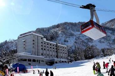 Отель Yuzawa Toei