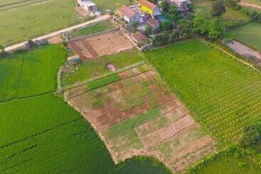 هتل Jungle Boss Homestay