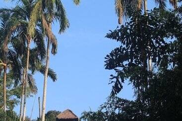 هتل La Habana Amazon Reserve