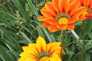 호스텔 Adega Do Gato