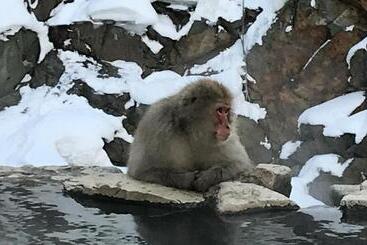 Blueberry Pension Madarao