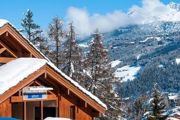 游客公寓 Résidence Goélia Les Chalets De Wengen