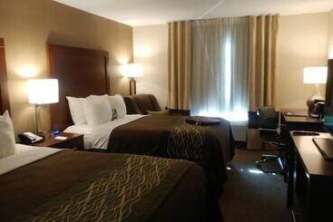 فندق Comfort Inn Airport