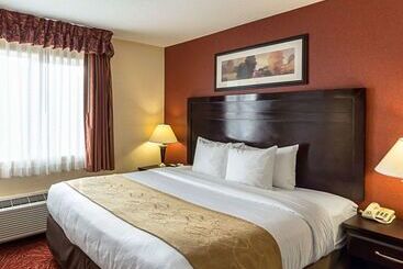 ホテル Comfort Suites Airport