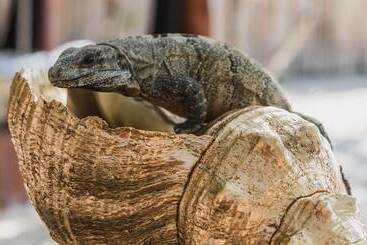 酒店 Casa Punta Coco & Beach Club