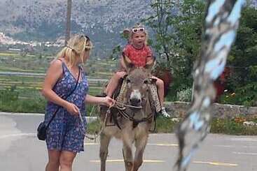 Отель Dionysus Lasithi Plateau