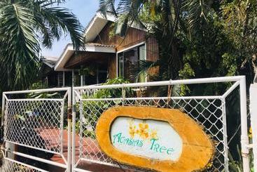 ペンション Villa Acacias Tree