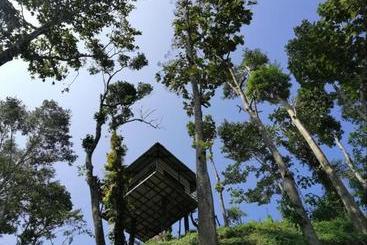 ホテル Aidens Abode