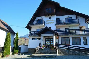 Pensiunea Antonia