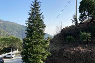 Отель Il Colle Di Monterosso