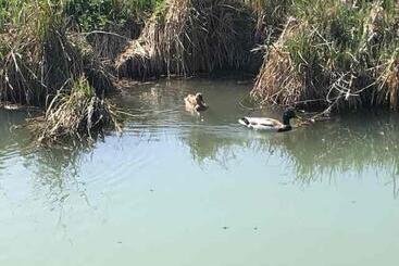 Bed and Breakfast Manoir De Chandoiseau