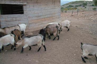 هتل Rural Mi Refugio 