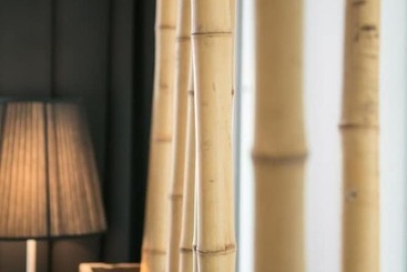 בית מלון כפרי St James