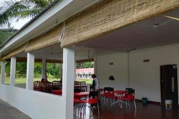 Hotel Exotica Squares