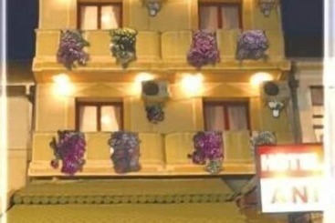 هتل Ani