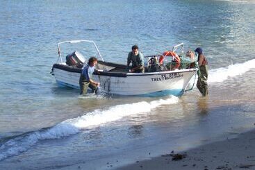 هتل Promar  Eco Beach & Spa