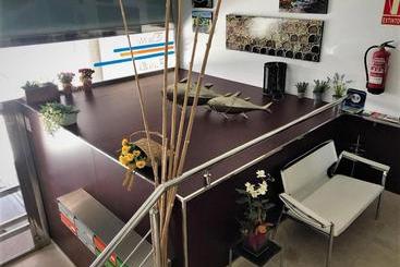 Жильё для туристов Apartamentos Puerto Basella