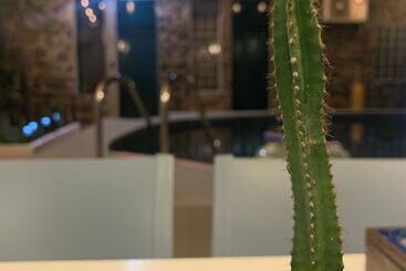 پانسیون Casa Pimampiro