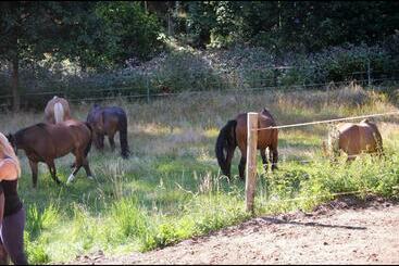 호텔 Reiterhof Finkenmühle Fewo Sancho