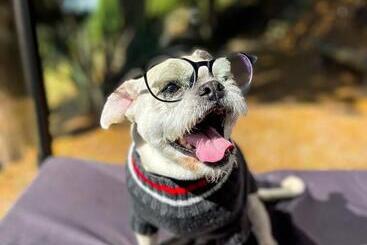 هتل Cabañas De Lujo   Casa Barcelona