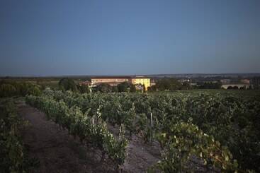 Отель Torremilanos