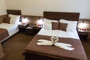 Central Hotel 21 And Apartments