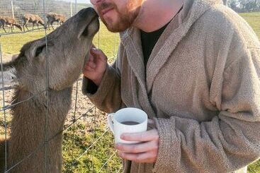 קוטג'' Luxury Safari Lodge Surrounded By Deer!!  Roe