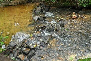 بيت ريفى Twin Creeks Near Ocoee River